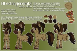 Size: 1500x1000 | Tagged: amputee, clothes, derpibooru import, missing limb, oc, oc:nika, oc:nkechinyerembi, reference sheet, safe, scarf, stump, unofficial characters only, wheelchair, zony