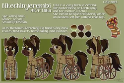 Size: 1500x1000 | Tagged: amputee, clothes, derpibooru import, oc, oc:nika, oc:nkechinyerembi, reference sheet, safe, scarf, unofficial characters only, wheelchair, zony