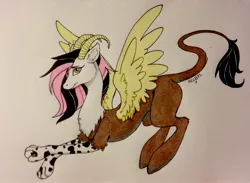 Size: 2732x2003 | Tagged: artist:ameliacostanza, art trade, derpibooru import, hybrid, interspecies offspring, oc, oc:feather dream, offspring, parent:discord, parent:fluttershy, parents:discoshy, safe, traditional art, unofficial characters only