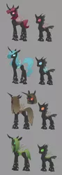 Size: 1082x3031 | Tagged: artist:carnifex, blue changeling, brown changeling, changeling, changeling oc, changeling queen, changeling queen oc, derpibooru import, female, green changeling, next generation, oc, oc:boitata, oc:malafide, oc:marasmus, oc:photuris, offspring, red changeling, safe, unofficial characters only