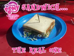 Size: 1000x750 | Tagged: artist:grumbeerkopp, defictionalization, derpibooru import, food, irl, photo, safe, sandwich