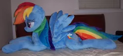 Size: 1737x800 | Tagged: artist:agatrix, bed, bedroom eyes, derpibooru import, irl, photo, plushie, rainbow dash, safe, solo