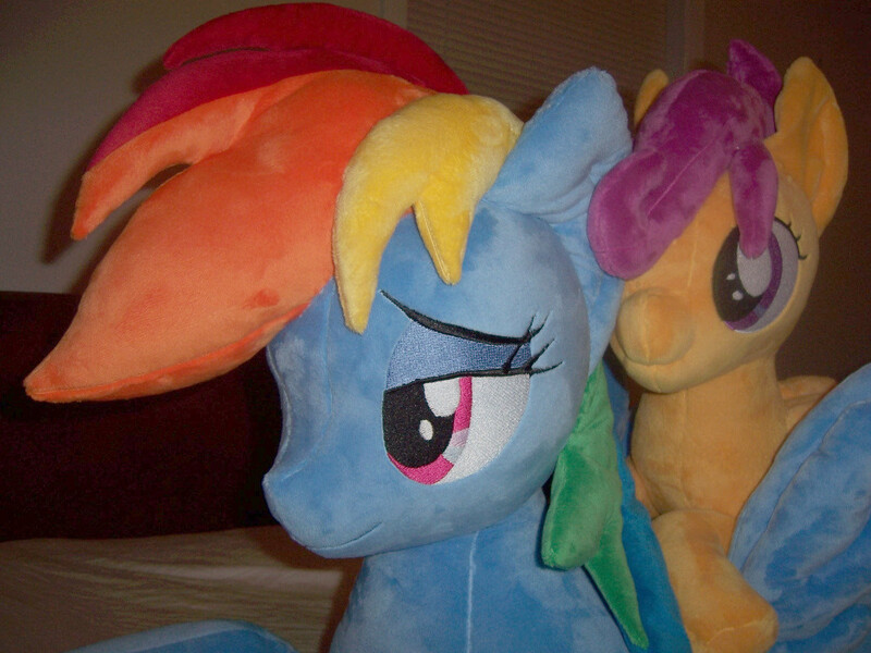 Size: 1067x800 | Tagged: artist:agatrix, artist:penniesponyplushies, derpibooru import, irl, photo, plushie, rainbow dash, safe, scootaloo