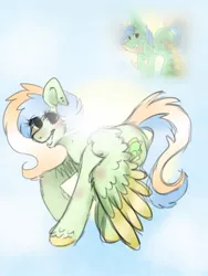 Size: 1024x1365 | Tagged: safe, artist:misocosmis, derpibooru import, oc, oc:golden light, unofficial characters only, pegasus, pony, redraw, solo