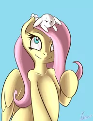 Size: 800x1040 | Tagged: angel bunny, artist:atane27, cross-popping veins, derpibooru import, fluttershy, safe, solo