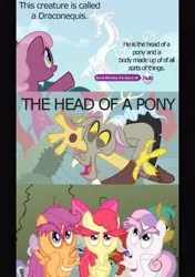 Size: 640x907 | Tagged: apple bloom, artist:vanderlyle, cheerilee, comic, cutie mark crusaders, derpibooru import, diamond tiara, discord, edit, edited screencap, facebomb, hub logo, safe, scootaloo, screencap, silver spoon, snails, snips, sweetie belle, text, the return of harmony