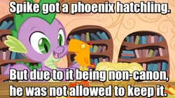 Size: 800x449 | Tagged: basket, christmas tree of might, derpibooru import, dragon, dragonball z abridged, dragon quest, duo, edit, edited screencap, golden oaks library, image macro, joke, male, meme, peewee, phoenix, phoenix chick, safe, screencap, spike