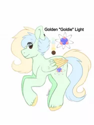 Size: 1024x1365 | Tagged: safe, artist:misocosmis, derpibooru import, oc, oc:golden light, unofficial characters only, pegasus, pony, solo