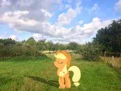 Size: 1600x1200 | Tagged: applejack, apple orchard, artist:jourple, artist:makenshi179, derpibooru import, field, grass field, irl, photo, ponies in real life, pose, safe, shadow, solo, vector