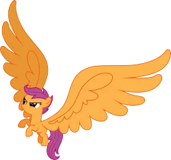 Size: 4290x4000 | Tagged: safe, artist:jeatz-axl, derpibooru import, scootaloo, pegasus, pony, do princesses dream of magic sheep, absurd resolution, determined, female, flying, impossibly large wings, large wings, scootaloo can fly, simple background, solo, transparent background, vector, wings