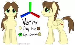 Size: 6069x3649 | Tagged: artist:vertex-the-pony, derpibooru import, male to female, oc, oc:vertex, reference sheet, safe, tail ring, transgender, unofficial characters only