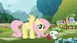 Size: 638x355 | Tagged: angel bunny, apple, derpibooru import, ei, fluttershy, hubble, hub logo, intro, opening, safe, screencap, sharing kindness, the hub