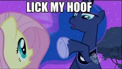 Size: 640x360 | Tagged: safe, derpibooru import, edit, edited screencap, screencap, fluttershy, princess luna, alicorn, pegasus, pony, luna eclipsed, female, hoof fetish, hub logo, image macro, mare, meme, text