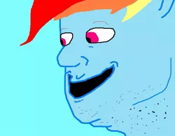 Size: 855x662 | Tagged: 1000 hours in ms paint, artist needed, derpibooru import, disguise, incognito, ms paint, rainbow dash, safe, smiling, solo, wat