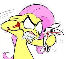 Size: 600x542 | Tagged: grimdark, derpibooru import, angel bunny, fluttershy, pegasus, pony, rabbit, abuse, angelbuse, angry, animal, animal abuse, blood, bloodshot eyes, disproportionate retribution, edgy, female, flutterbitch, foaming at the mouth, hoof hold, mare, out of character, punch, simple background, violence, white background