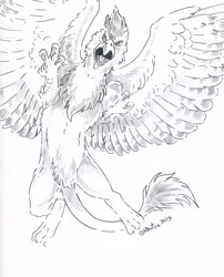 Size: 2472x3064 | Tagged: safe, artist:hbruton, derpibooru import, oc, oc:serilde, unofficial characters only, gryphon, monochrome, solo, traditional art