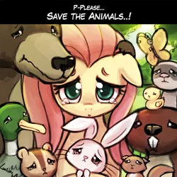 Size: 750x750 | Tagged: safe, artist:lumineko, derpibooru import, angel bunny, fluttershy, harry, bear, butterfly, duck, ferret, pony, rabbit, angelbetes, animal, crying, cute, female, gdq, lumineko is trying to murder us, mare, set:fluttershy games done quick, sgdq, shyabetes, super metroid