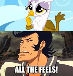 Size: 494x516 | Tagged: safe, derpibooru import, gilda, gryphon, cute, feels, gildadorable, meme, right in the feels, space dandy, the feels