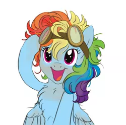Size: 736x730 | Tagged: safe, artist:carnifex, derpibooru import, rainbow dash, pegasus, pony, alternate hairstyle, chest fluff, cute, dashabetes, dirt, dirty, female, fluffy, goggles, happy, looking at you, mare, messy mane, open mouth, simple background, smiling, solo, spread wings