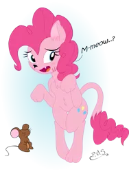 Size: 775x1031 | Tagged: artist:midnightblitzz, artist:syth77, cat, chest fluff, colored, color edit, cute, derpibooru import, mouse, pinkie pie, safe, solo