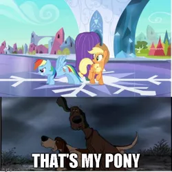 Size: 500x500 | Tagged: applejack, derpibooru import, disney, dog, duo, edit, edited screencap, lafayette, meme, napoleon, rainbow dash, safe, screencap, the aristocats, the crystal empire