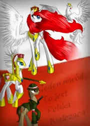 Size: 3465x4815 | Tagged: safe, artist:alicjaspring, derpibooru import, oc, oc:queen poland, unofficial characters only, alicorn, eagle, pony, alicorn oc, guard, nation ponies, patriotic, poland, polish, remember, soldier, soldiers