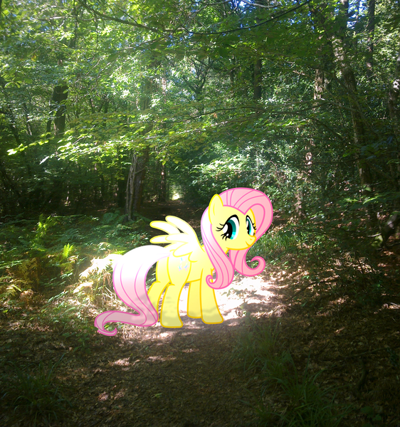 Size: 2549x2722 | Tagged: artist:90sigma, artist:makenshi179, derpibooru import, fluttershy, forest, glow, irl, photo, ponies in real life, safe, solo, vector