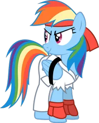 Size: 5000x6208 | Tagged: absurd resolution, artist:fehlung, crossover, derpibooru import, rainbow dash, remix apple apple apple, ryu, safe, simple background, solo, street fighter, transparent background, vector