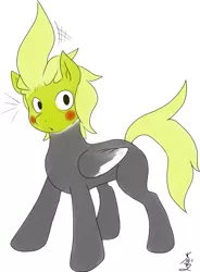 Size: 747x1013 | Tagged: artist needed, safe, derpibooru import, oc, ponified, bird pone, cockatiel, crest, cute, surprised