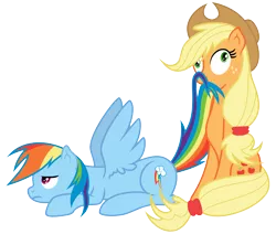 Size: 4250x3600 | Tagged: safe, artist:arcuswind, artist:pikamander2, derpibooru import, applejack, rainbow dash, pony, appledash, derp, female, frown, lesbian, mouth hold, nom, prone, shipping, silly, silly pony, simple background, sitting, spread wings, tail bite, taste the rainbow, transparent background, unamused, vector, who's a silly pony, wide eyes