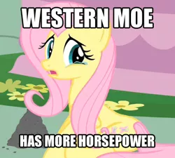 Size: 445x400 | Tagged: a bird in the hoof, ash, caption, crying, derpibooru import, edit, edited screencap, fluttershy, horsepower, image macro, moe, philomena, pun, safe, screencap, text