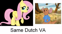 Size: 1201x668 | Tagged: safe, derpibooru import, fluttershy, dutch, exploitable meme, meme, roo, same voice actor, winnie the pooh