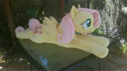 Size: 5312x2988 | Tagged: safe, artist:neysanight, derpibooru import, fluttershy, pegasus, pony, irl, life size, photo, plushie, prone, solo