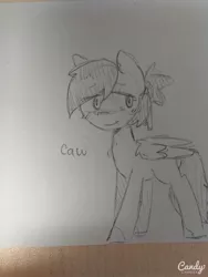 Size: 960x1280 | Tagged: artist needed, safe, derpibooru import, oc, oc:raven, unofficial characters only, bird pone, crow, pegasus, pony, blush sticker, blushing, caw, female, lidded eyes, looking at you, mare, monochrome, sketch, smiling, solo, traditional art, wing fluff
