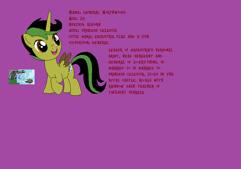 Size: 879x615 | Tagged: safe, derpibooru import, oc, oc:general northwoods, unofficial characters only, alicorn, pony, donut steel, gary stu, joke oc, male, recolor, solo