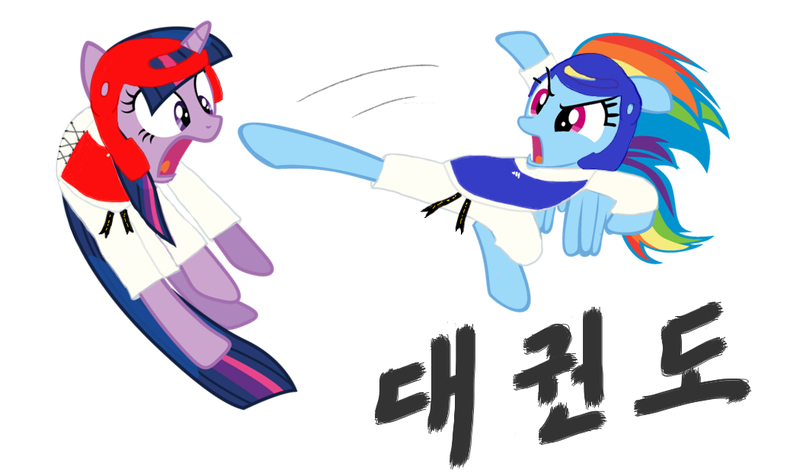 Size: 1050x625 | Tagged: dead source, safe, artist:foxy1219, derpibooru import, rainbow dash, twilight sparkle, black belt, chest guard, clothes, gi, headgear, image, kicking, korean, martial arts, png, robe, taekwondo, trousers