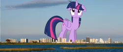 Size: 1024x437 | Tagged: safe, derpibooru import, twilight sparkle, twilight sparkle (alicorn), alicorn, pony, florida, giant pony, giantess, highrise ponies, irl, looking up, macro, mane, mega twilight sparkle, orlando, photo, plane, ponies in real life, tail, wings