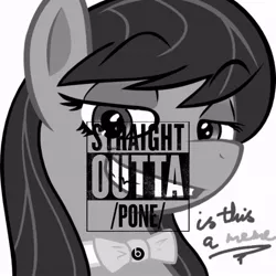 Size: 846x846 | Tagged: 8chan, derpibooru import, meme, octavia melody, /pone/, safe, straight outta compton