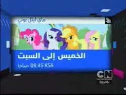 Size: 480x360 | Tagged: applejack, arabic, cartoon network, derpibooru import, fluttershy, pinkie pie, rarity, safe, saudi arabia, screencap