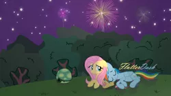 Size: 5760x3240 | Tagged: safe, artist:shutterflyeqd, derpibooru import, fluttershy, rainbow dash, tank, female, fireworks, flutterdash, lesbian, night, shipping