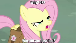 Size: 1280x720 | Tagged: angry, bag, derpibooru import, edit, edited screencap, fluttershy, image macro, meme, mid-blink screencap, putting your hoof down, saddle bag, safe, screencap, solo, why would you post that