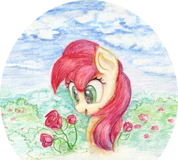 Size: 1000x905 | Tagged: artist:scootiebloom, derpibooru import, flower, rose, roseluck, safe, solo, traditional art