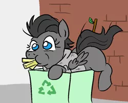 Size: 739x593 | Tagged: safe, artist:jargon scott, derpibooru import, oc, oc:jackie, unofficial characters only, bird pone, jackdaw, pegasus, pony, clothes, cute, dirty, french fries, hoodie, recycle bin, solo, stick, sweater, trash