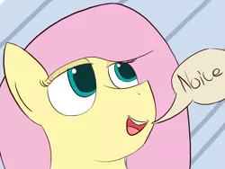Size: 1331x1000 | Tagged: safe, artist:flutteriot, derpibooru import, fluttershy, head only, hilarious in hindsight, lidded eyes, noice, open mouth, reaction image, solo, speech bubble