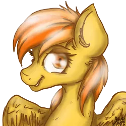 Size: 1000x1000 | Tagged: safe, artist:bluezircon-da, derpibooru import, spitfire, portrait, solo