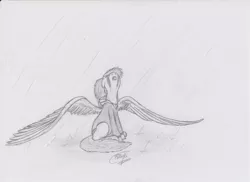 Size: 1280x930 | Tagged: safe, artist:raw16, derpibooru import, oc, oc:ray muller, unofficial characters only, pegasus, pony, clothes, crying, female, hoodie, monochrome, rain, sad, solo, spread wings, traditional art, wings