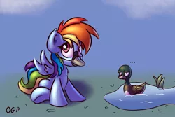 Size: 700x467 | Tagged: safe, artist:tadashi--kun, derpibooru import, rainbow dash, duck, mallard, pegasus, pony, cute, dashabetes, duck bill, duo, female, literal duck face, male, mare, pond, rainbow duck, rainbow goose