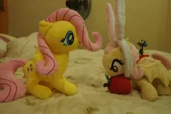 Size: 1095x730 | Tagged: apple, artist:dynasty-dawn, bed, derpibooru import, discord, duality, flutterbat, fluttershy, food, irl, opening, photo, photographer:dynasty-dawn, plushie, safe, self ponidox, toy