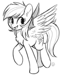 Size: 500x590 | Tagged: artist:hawthornss, black and white, chest fluff, derpibooru import, grayscale, looking at you, monochrome, open mouth, rainbow dash, raised hoof, safe, sketch, solo
