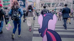 Size: 1280x719 | Tagged: artist:estories, artist:novi-ta, crosswalk, derpibooru import, human, irl, japan, photo, ponies in real life, rear view, safe, spike, street, twilight sparkle, vector